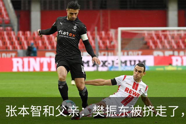 张本智和父亲：樊振东被挤走了，王楚钦跌出世界前四，男乒这回完蛋了？